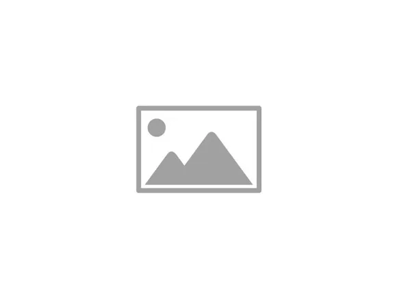 PLACEHOLDER - replace with: The Arduino Serial Monitor showing the ESP32-CAM connecting to Wi-Fi and printing its IP address